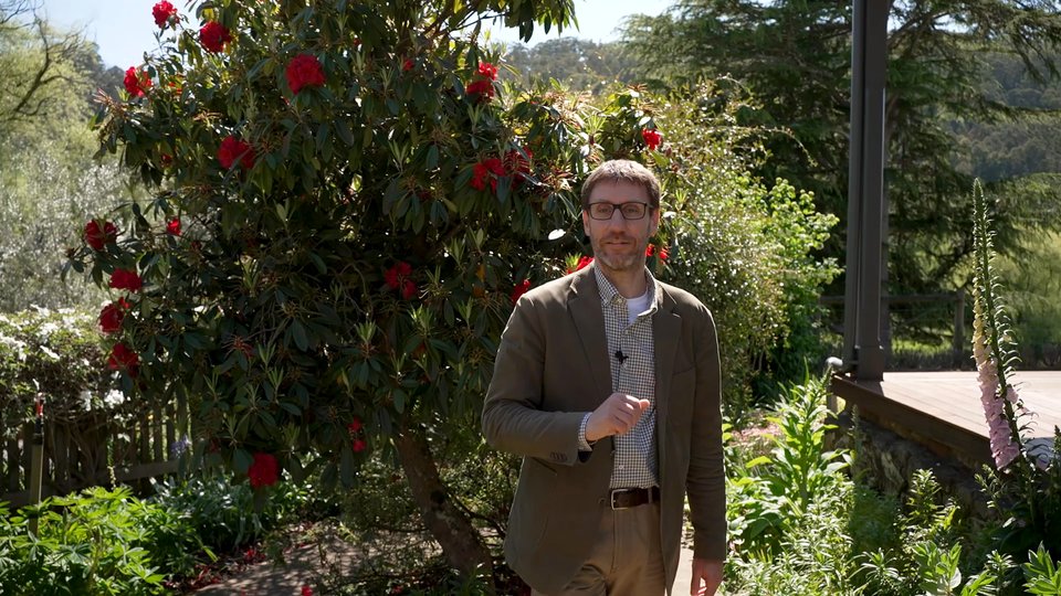 Pure Estate Tasmania — Pure Estate Tasmania